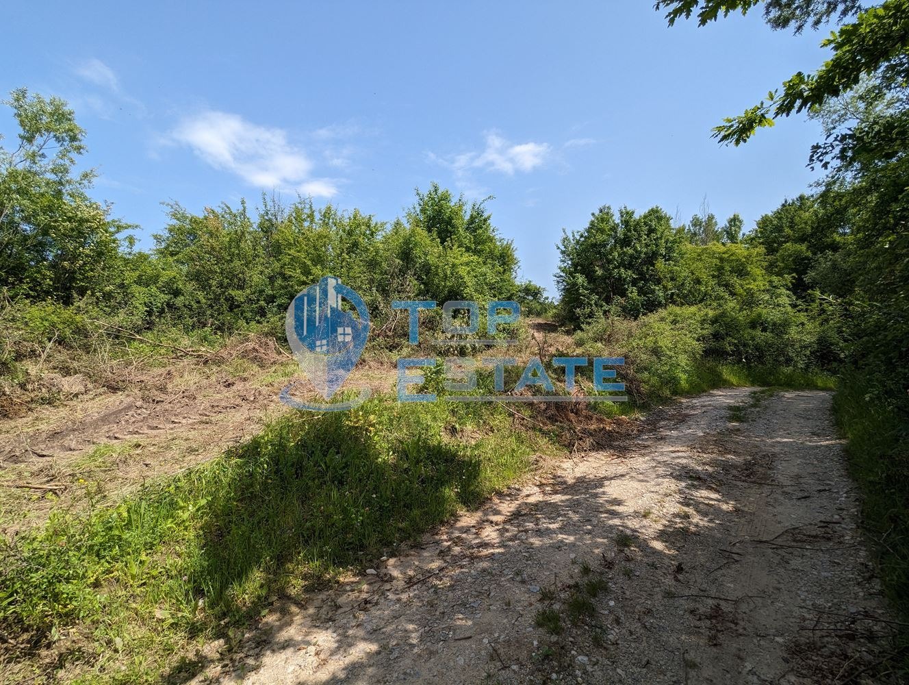 Продава ПАРЦЕЛ, с. Войнежа, област Велико Търново, снимка 11 - Парцели - 45467064