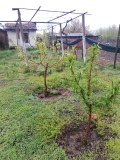 Продава КЪЩА, с. Калугерово, област Пазарджик, снимка 4