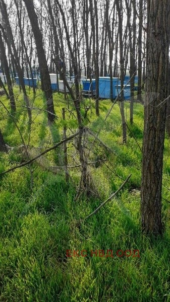 Продава ПАРЦЕЛ | Imot.bg — изображение 2