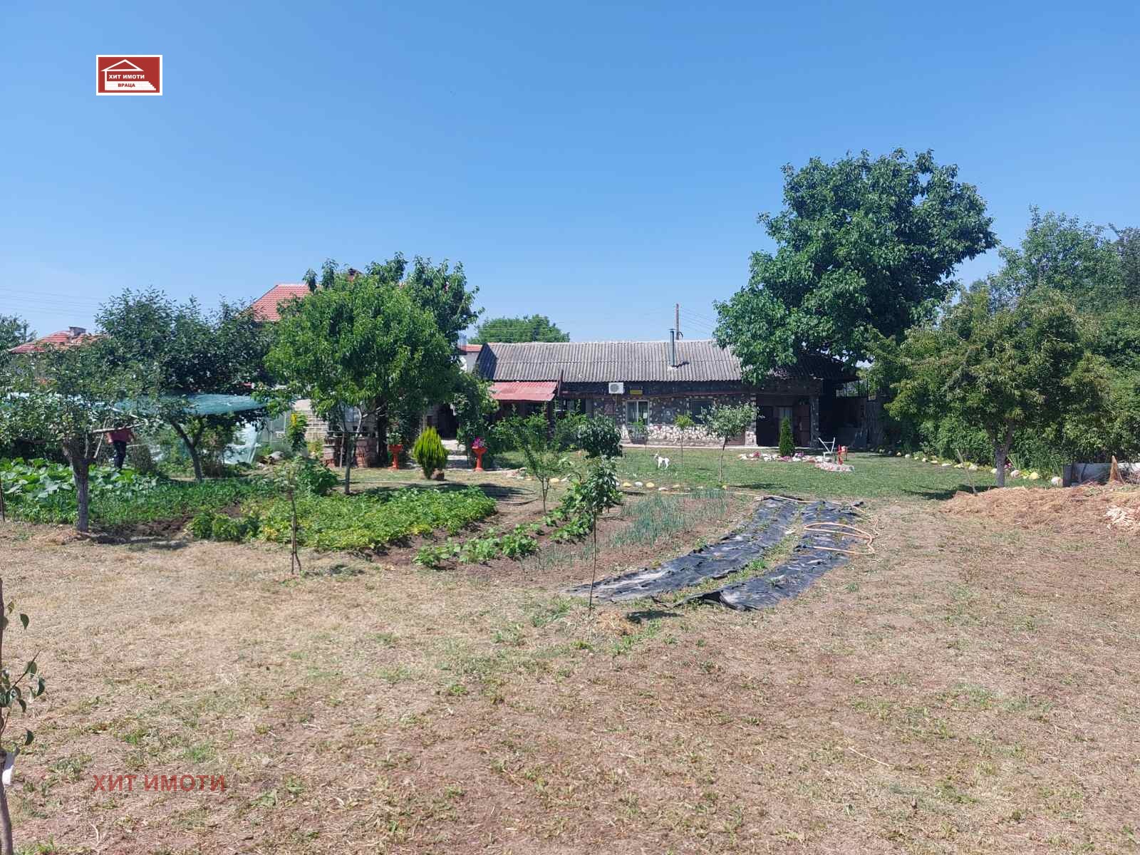 ������� ���� | Imot.bg � ����������� 8