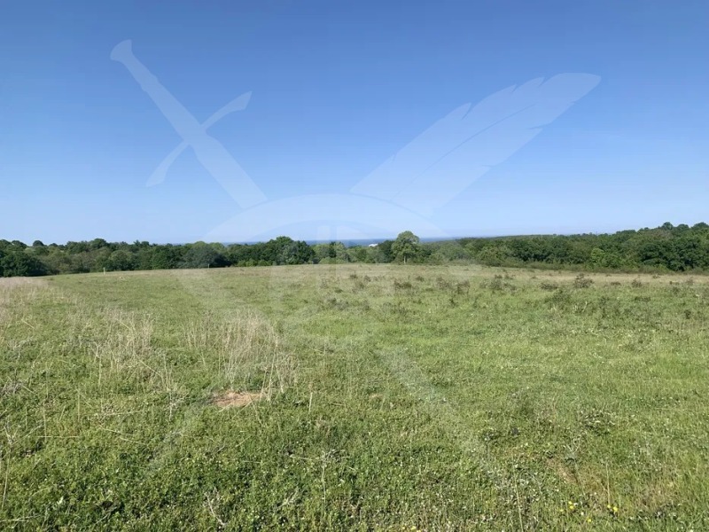 Продава ПАРЦЕЛ, област Бургас, с. Атия • 65000 € • 98643324 — Holmes.bg