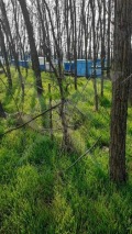 Продава ПАРЦЕЛ, с. Царацово, област Пловдив, снимка 2
