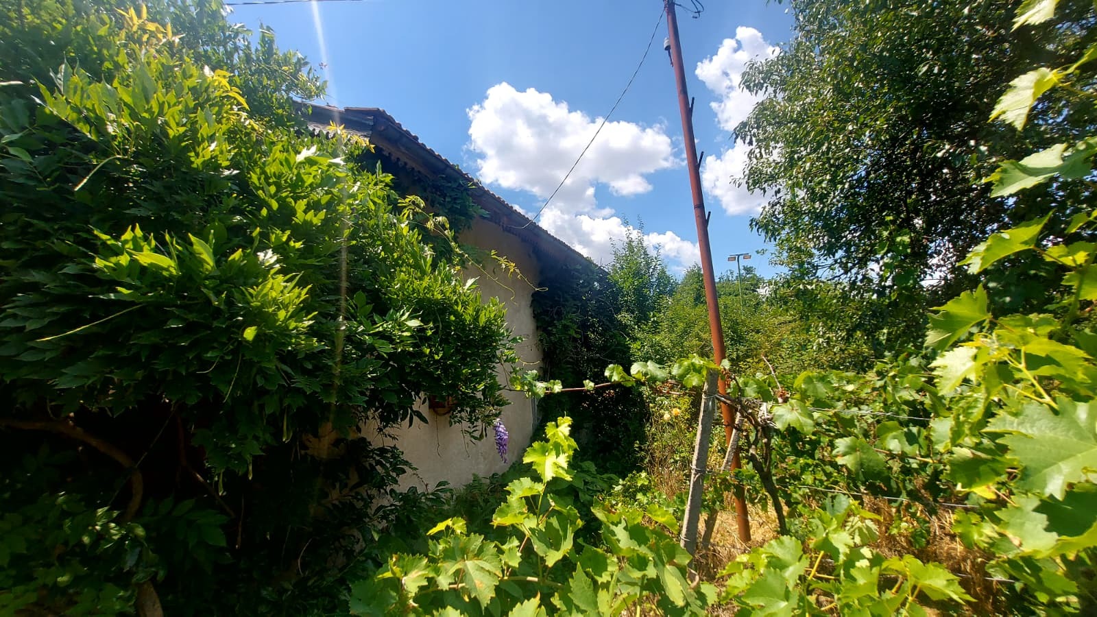 ������� ���� | Imot.bg � ����������� 6