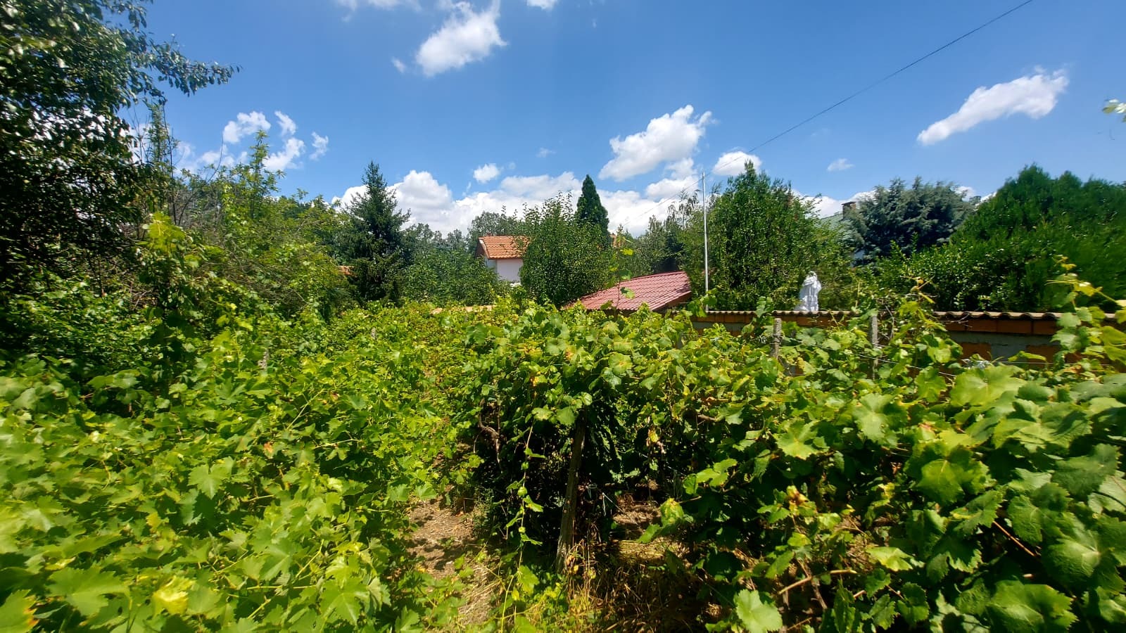 ������� ���� | Imot.bg � ����������� 7