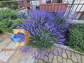 ������� 2-����� | Imot.bg � ����� ������ 4