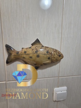 ������� 2-����� | Imot.bg � ����� ������ 17