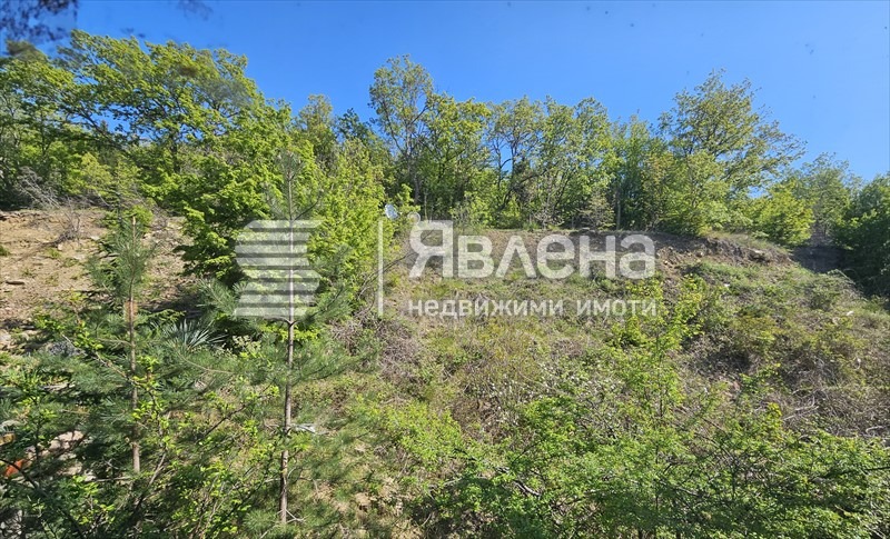 Продава 3-СТАЕН, гр. Свети Влас, област Бургас, снимка 10 - Апартаменти - 55533267
