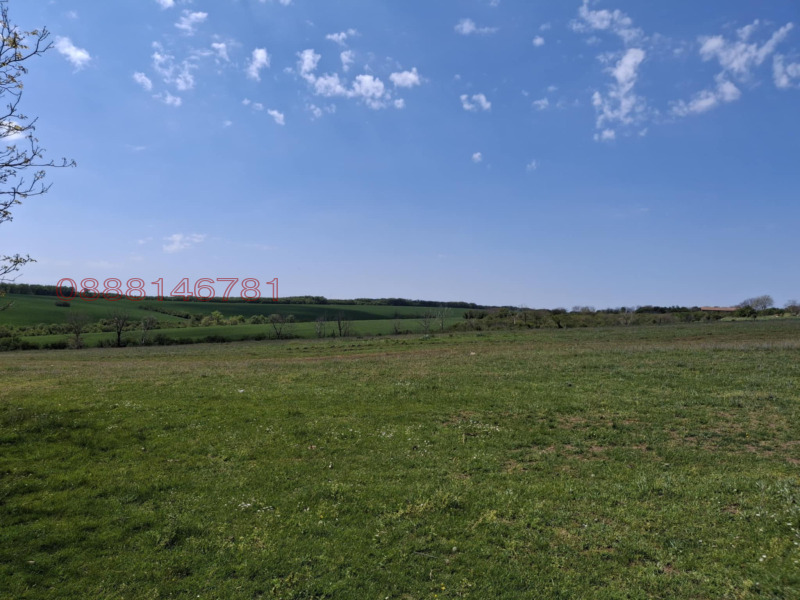 Продава КЪЩА, с. Стрелец, област Велико Търново, снимка 16 - Къщи - 52752803