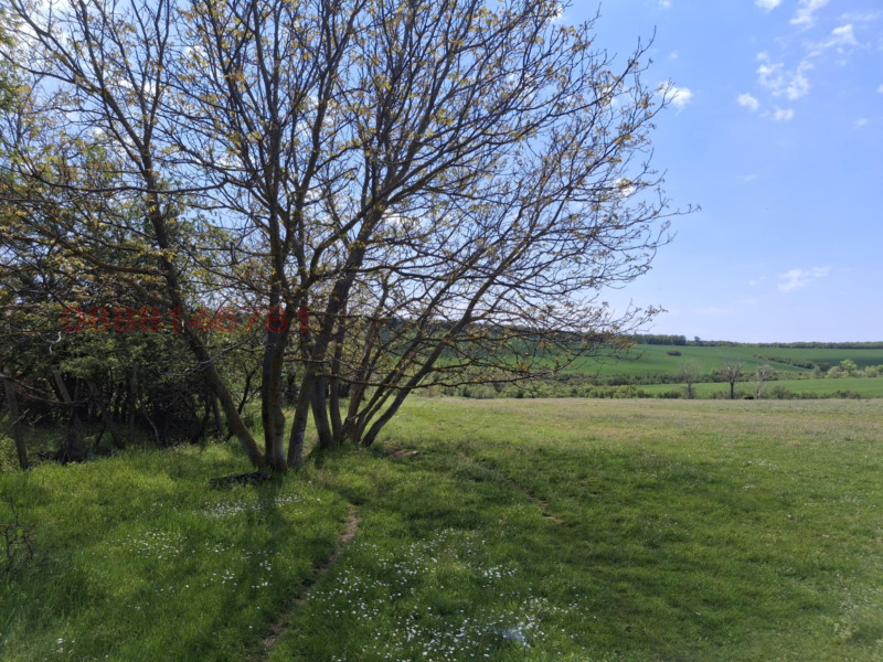 Продава КЪЩА, с. Стрелец, област Велико Търново, снимка 15 - Къщи - 52752803