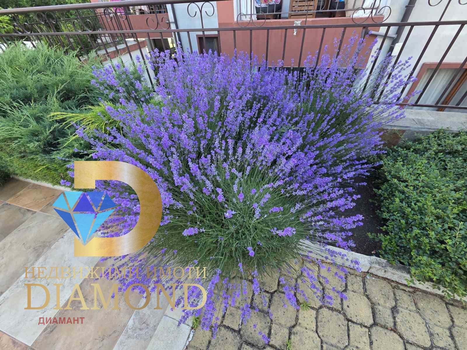 Продава 2-СТАЕН, гр. Ахелой, област Бургас, снимка 4 - Апартаменти - 55010083