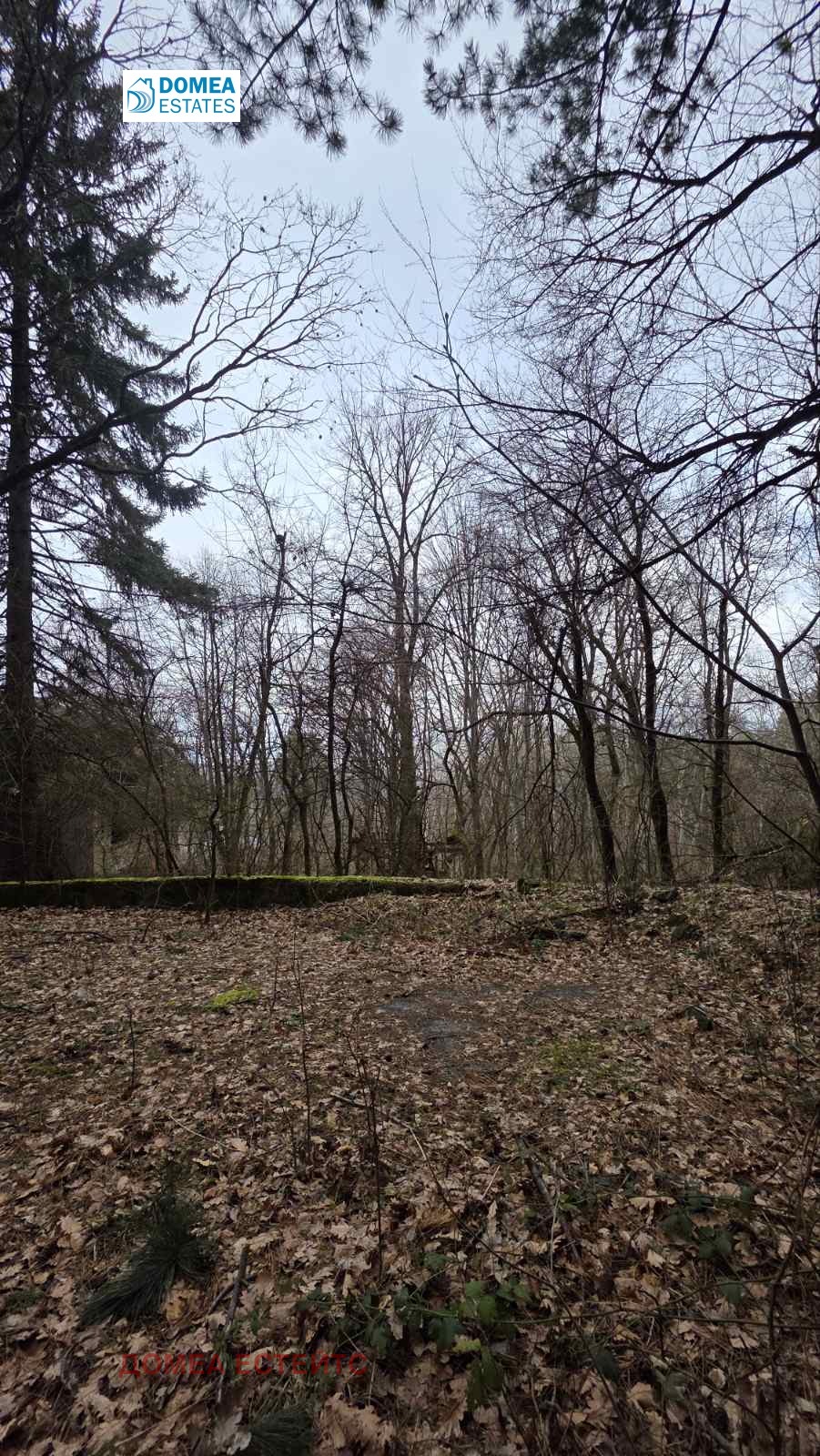 ������� ������ | Imot.bg � ����������� 3