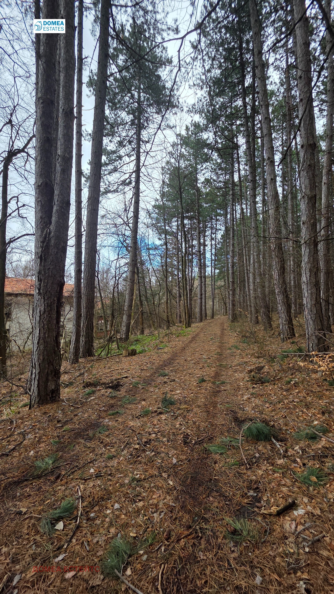 ������� ������ | Imot.bg � ����������� 1