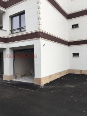 ����� ������� �����,���� ������, �����