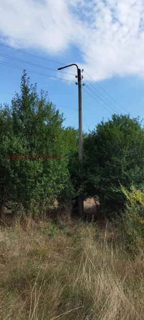 ������� ������ | Imot.bg � ����� ������ 2