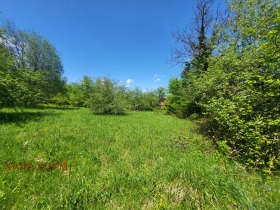 Plott Oresjak, region Lovech 2