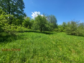 Plott Oresjak, region Lovech 3