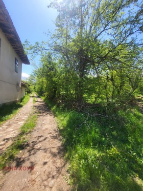 Plott Oresjak, region Lovech 5
