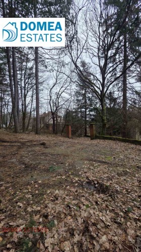 ����� ������� ������,���� �����, �������