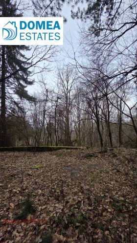 ����� ������� ������,���� �����, �������