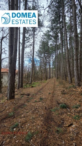 Продава  Парцел, град София