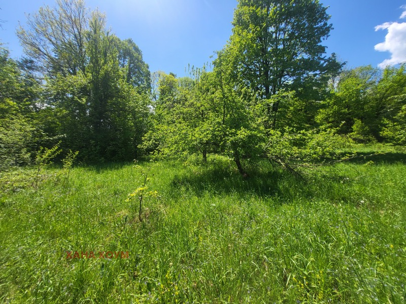Til salgs  Plott region Lovech , Oresjak , 3937 kvm | 84785003 - bilde [4]