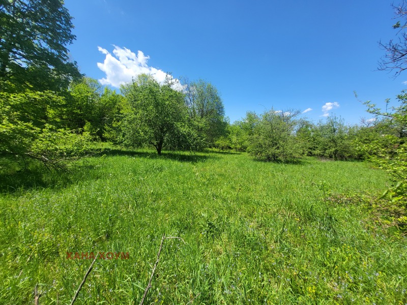 Til salgs  Plott region Lovech , Oresjak , 3937 kvm | 84785003