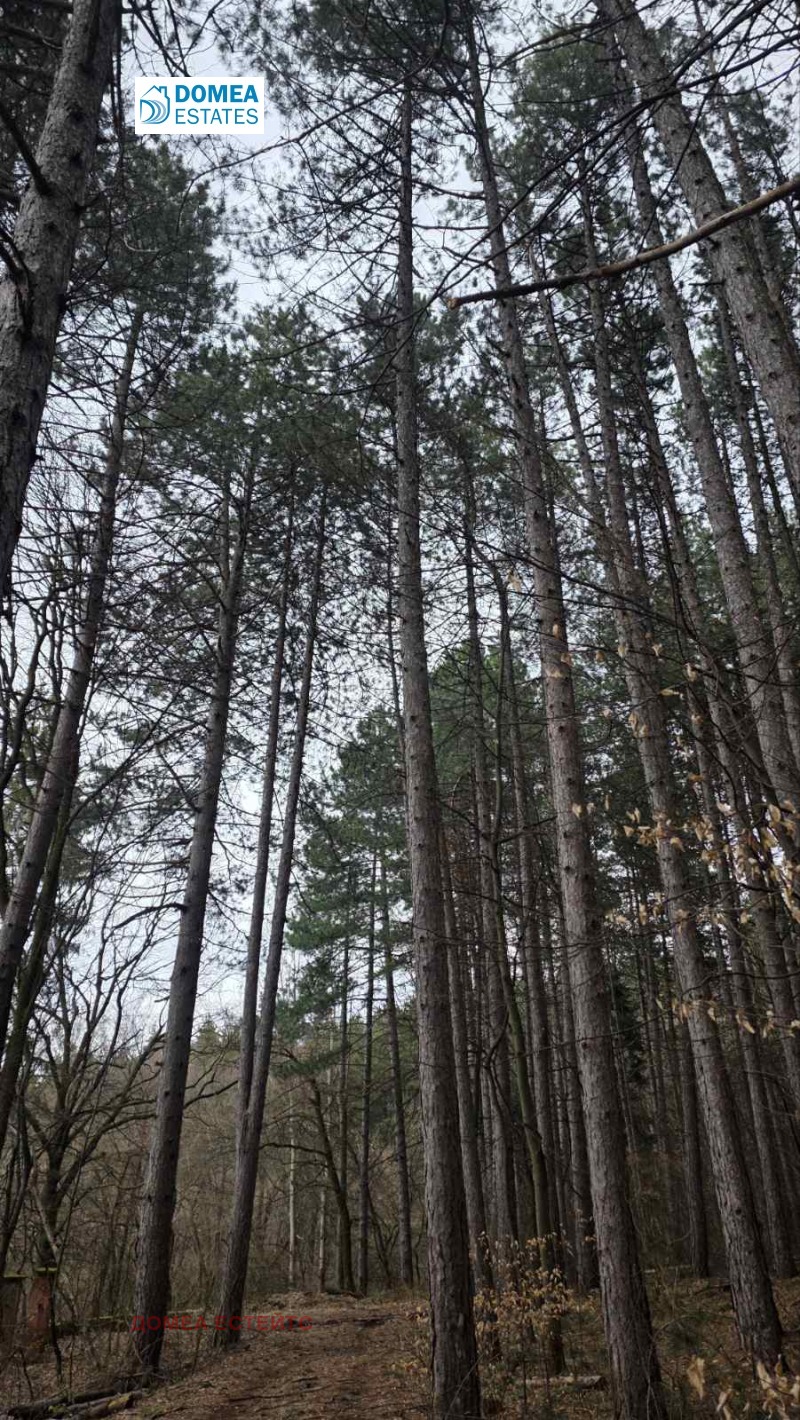 Продава ПАРЦЕЛ, гр. София, Княжево, снимка 3 - Парцели - 53483765