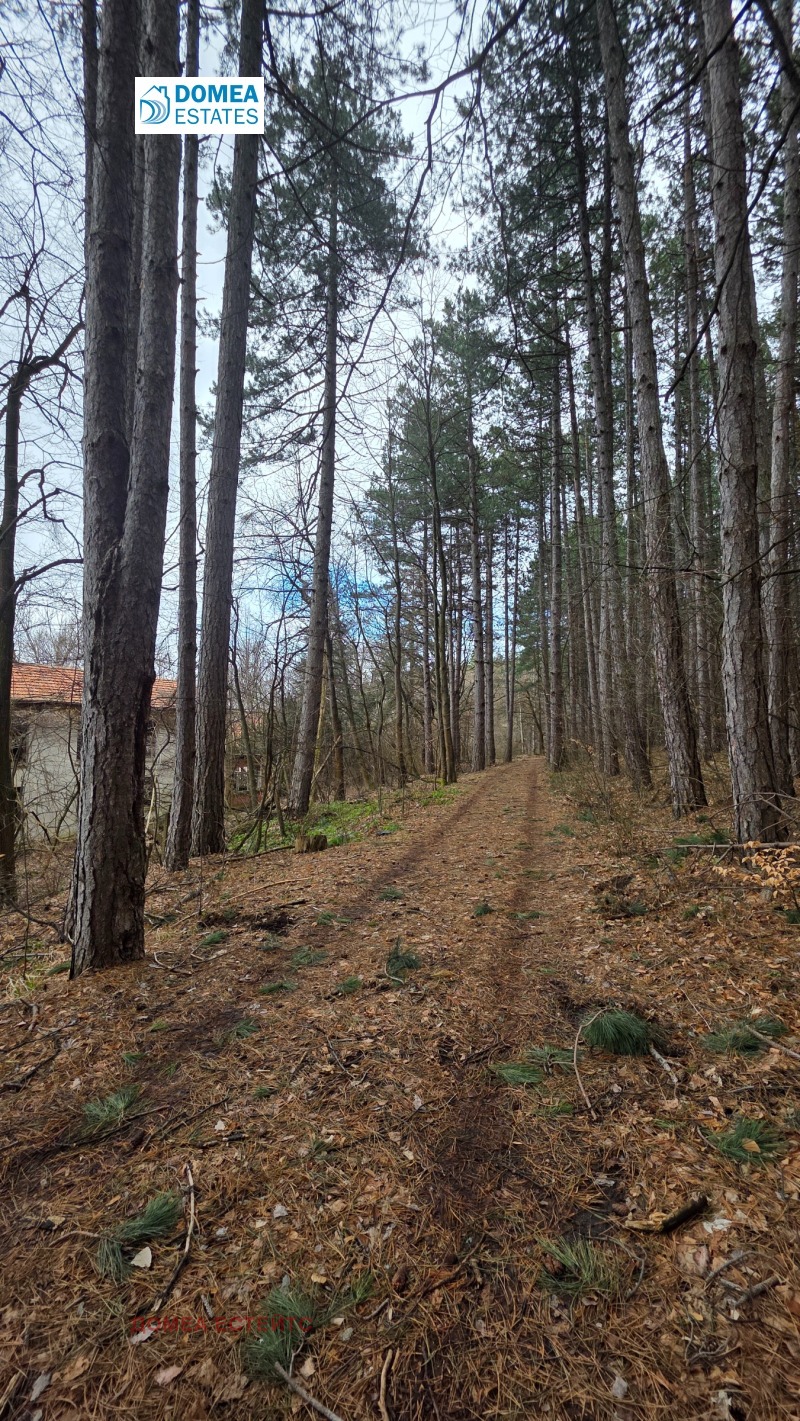 Продава ПАРЦЕЛ, гр. София, Княжево