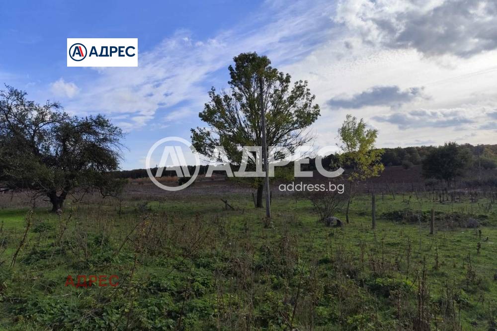 Продава ПРОМ. ПОМЕЩЕНИЕ, с. Водица, област Варна, снимка 4 - Производствени сгради - 54564676