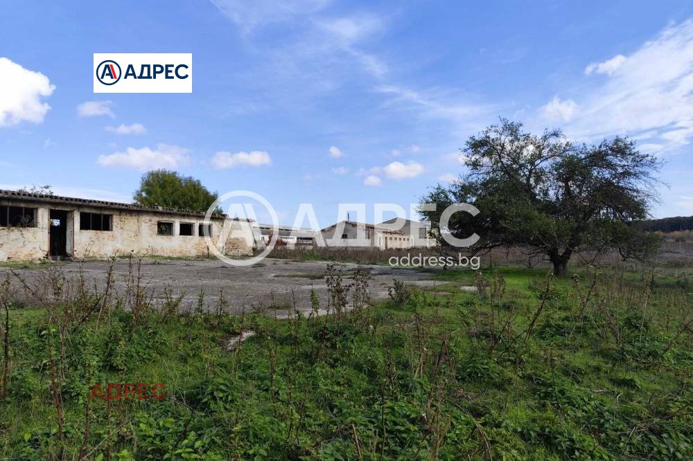 Продава ПРОМ. ПОМЕЩЕНИЕ, с. Водица, област Варна, снимка 2 - Производствени сгради - 54564676
