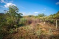 Продава  Къща област Бургас , с. Индже войвода , 130 кв.м | 63074416 - изображение [11]