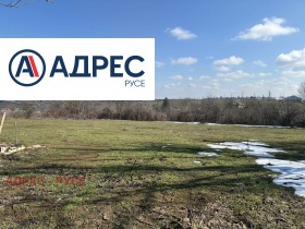 ������ ������� ������