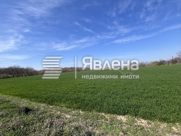 À vendre  Parcelle région Plovdiv , Streltsi , 2310 m² | 10505501 - image [3]