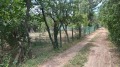 Продава ПАРЦЕЛ, област София, с. Макоцево • 12000 € / 23469.96 лв. • 92495991 2