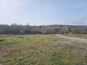 ������ ������� ������