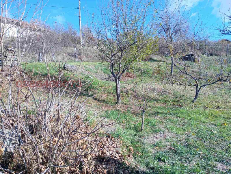 Продава КЪЩА, с. Плешивец, област Видин, снимка 12 - Къщи - 52786638