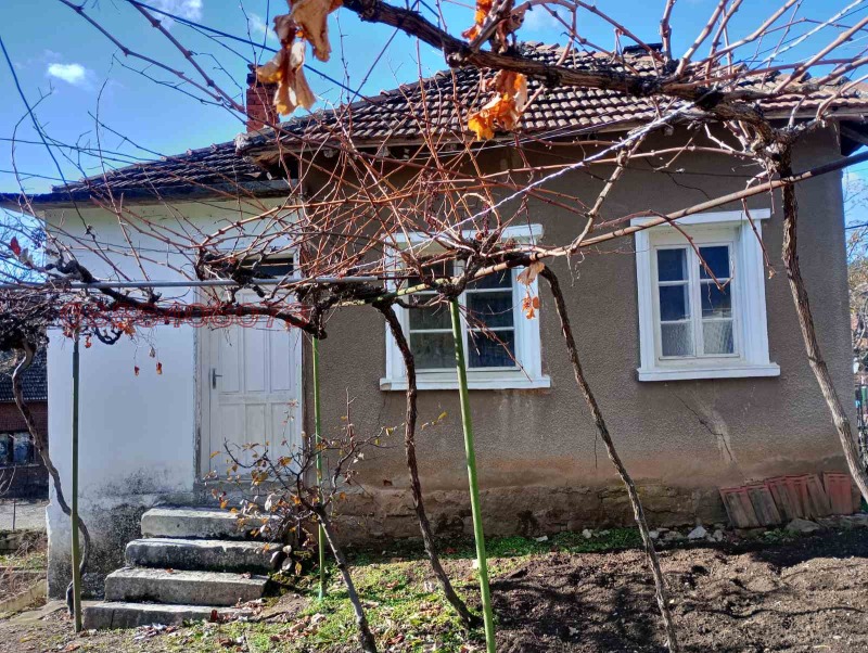 Продава КЪЩА, с. Плешивец, област Видин, снимка 3 - Къщи - 52786638