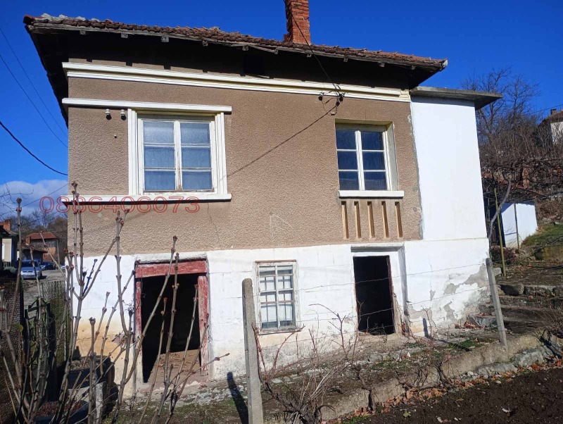 Продава КЪЩА, с. Плешивец, област Видин, снимка 2 - Къщи - 52786638