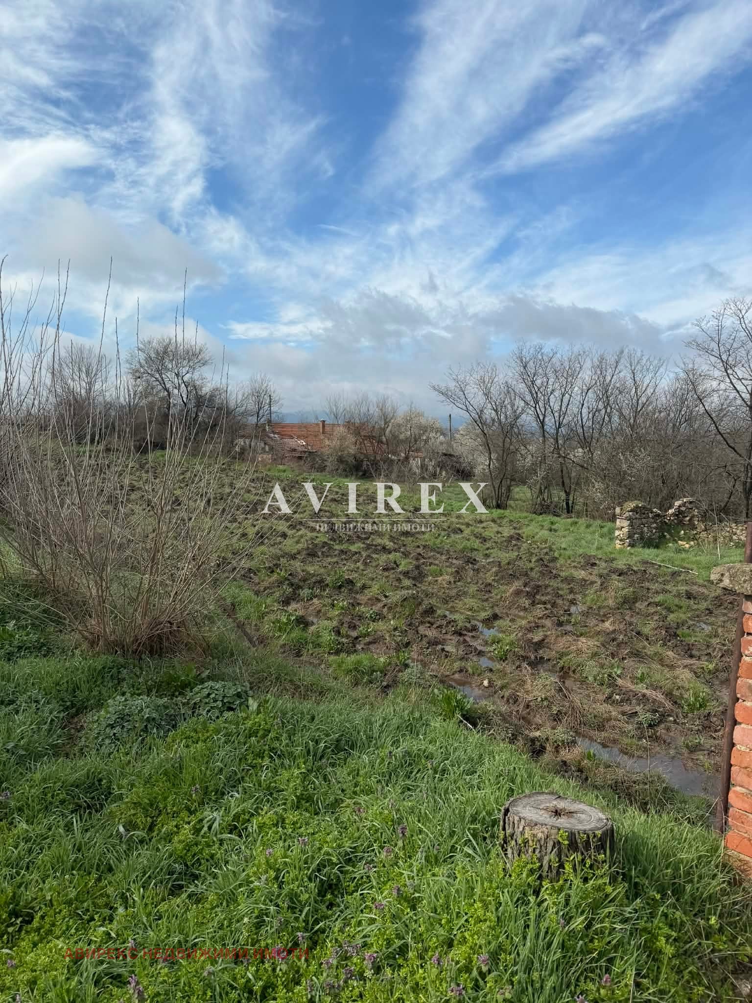 Продава КЪЩА, с. Бодрово, област Хасково, снимка 5 - Къщи - 54053789