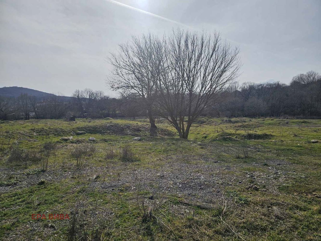 Продава ПАРЦЕЛ, с. Долище, област Варна, снимка 3 - Парцели - 53974279