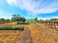 Продава КЪЩА, с. Раданово, област Велико Търново, снимка 5