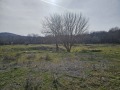 Продава ПАРЦЕЛ, с. Долище, област Варна, снимка 3