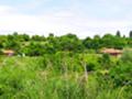 Продава  Парцел град София , с. Панчарево , 19000 кв.м | 99641550 - изображение [5]