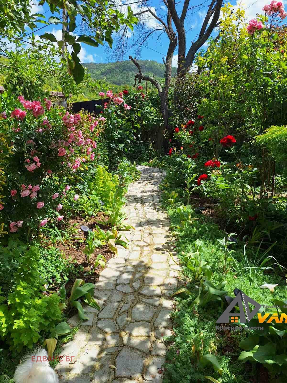 ������� ���� | Imot.bg � ����������� 17