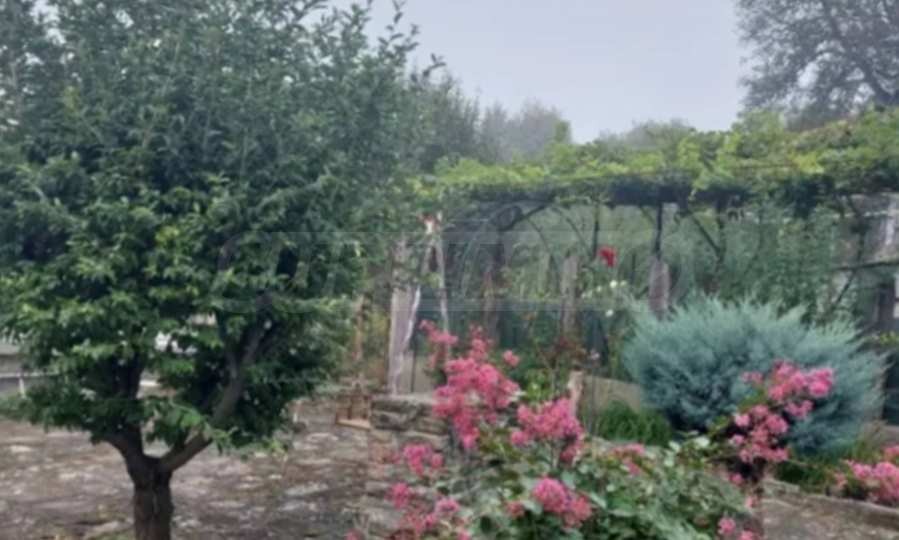 ������� ���� | Imot.bg � ����������� 11