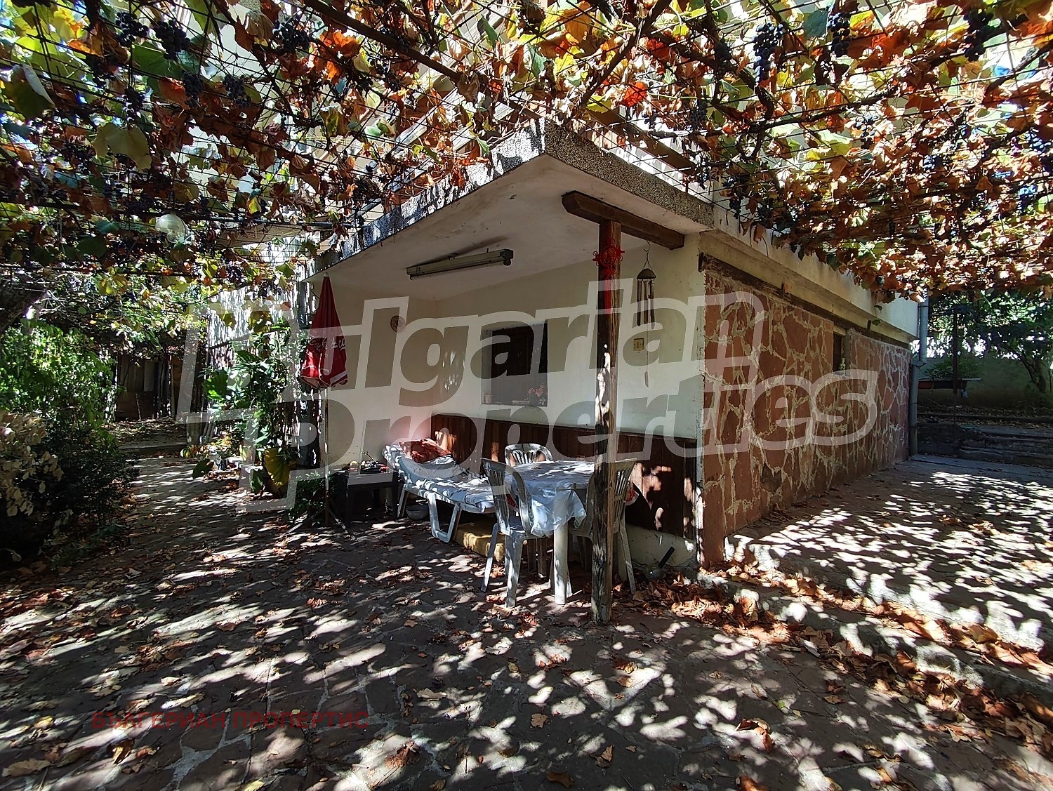 ������� ���� | Imot.bg � ����������� 12
