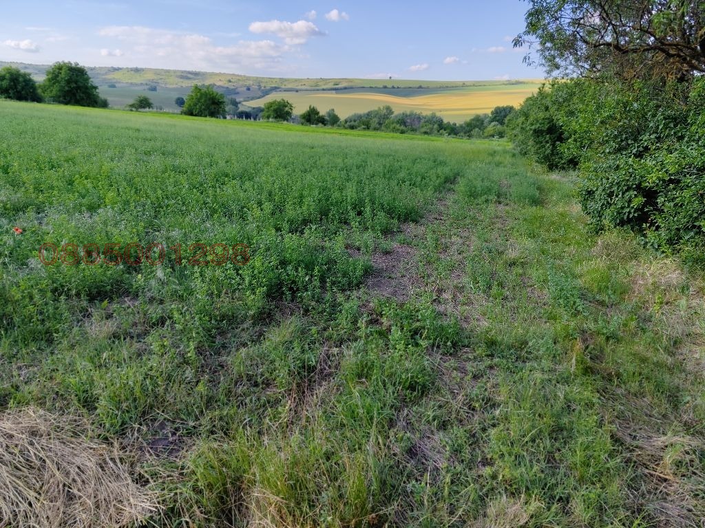 ������� ������ | Imot.bg � ����������� 2