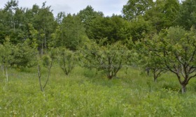 ������� ���� | Imot.bg � ����� ������ 12