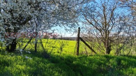 ������� ������ | Imot.bg � ����� ������ 13