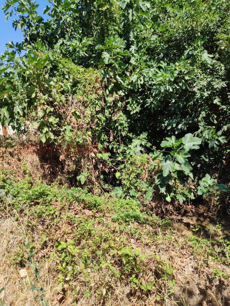 Продава ПАРЦЕЛ, с. Аканджиево, област Пазарджик, снимка 2 - Парцели - 52786617